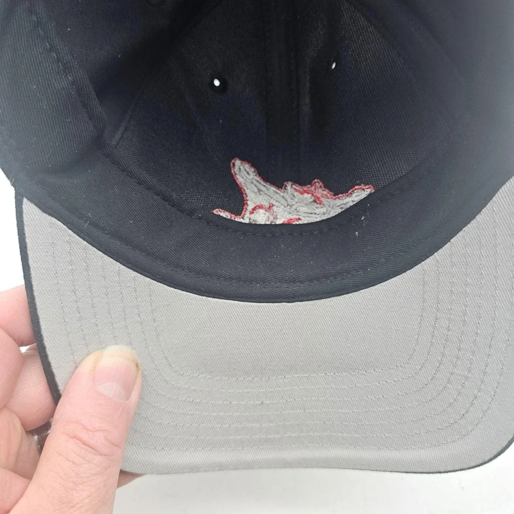Richmond Flying Squirrels Hat Cap Strap Back Youth One Size Black MLB 47 Brand